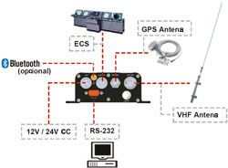 Connexionat